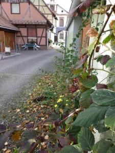 Zahrada ubytování Gites Petermann