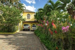 a yellow house with cars parked in the driveway at Orchid Cottage in Kingston