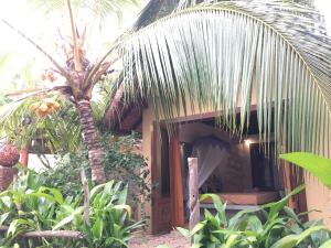a house with a palm tree in front of it at SURF N SUN - Arugam Bay in Arugam Bay