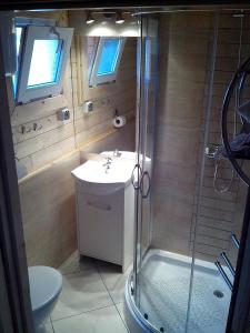 a bathroom with a shower and a sink and a toilet at ROSSA - Domki Letniskowe in Międzywodzie