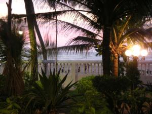 - une vue sur la plage depuis un complexe planté de palmiers dans l'établissement The Icebear Guesthouse, à Negombo