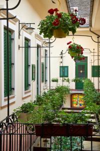Zahrada ubytování Lion Prémium Hotel