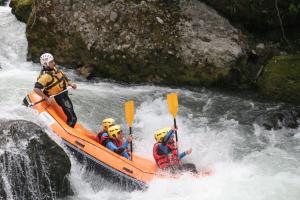 Kanotpaddling vid eller i närheten av detta B&B