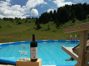 a bottle of wine and two glasses next to a swimming pool at Rural household Janketic in Kolašin