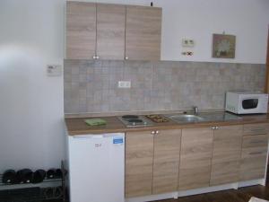 una cucina con lavandino e frigorifero bianco di Hiša marjetica a Maribor