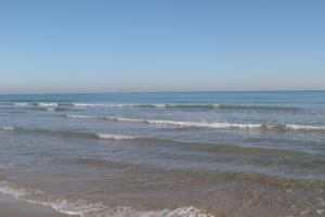 Hotel Playa Canet