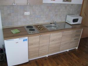 una cocina con fregadero y microondas en Hiša marjetica, en Maribor 15 fotos más