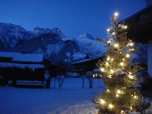 Haus Alpengruß talvel