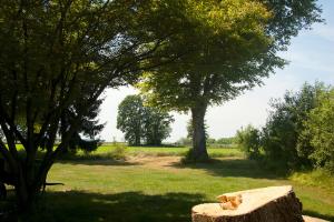 Zahrada ubytování B&B Cascina Baraggione