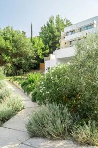 a garden with plants and a building in the background at Semeli in Kokkari