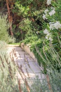 a garden path with white flowers and plants at Semeli in Kokkari