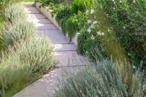 a stone path in a garden with tall grass at Semeli in Kokkari