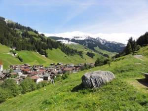 a small town on a hill in a green field at TUX DIAMANT in Tux