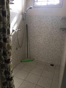 a shower in a bathroom with a shower curtain at Chalet Anna's Pavalesto in Landsboerderij