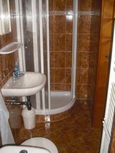 ロキトニツェ・ナト・イゼロウにあるPrivat SKI Erlebachのバスルーム(シャワー、洗面台、トイレ付)