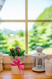 a window sill with a flower pot with a pink ribbon at Domki KOLONIA LEŚNA z sauną i gorącą balią in Radków