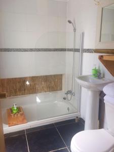 uma casa de banho com uma banheira, um lavatório e um WC. em Organica Lodge Spa em Vicuña