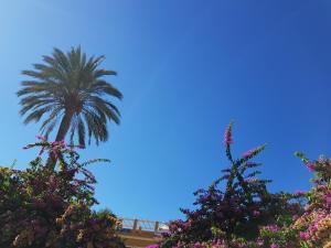 Ein Garten an der Unterkunft Cascadas de la Marina