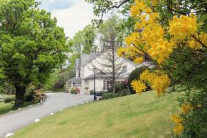 a house on a hill with yellow flowers at Briery Wood Hotel in Ambleside