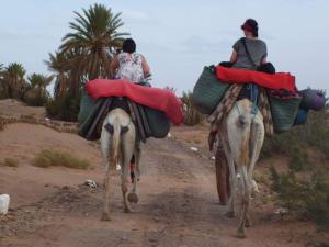 Foto dalla galleria di Dar Sidi Bounou a M'Hamid