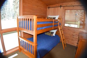 a bunk bed in a room with a window at Montecito Sequoia Lodge in Sequoia