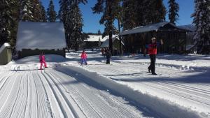 Montecito Sequoia Lodge að vetri til