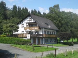 uma grande casa branca com um telhado de gambrel em Pension-Gästehaus Waldhof em Winterberg