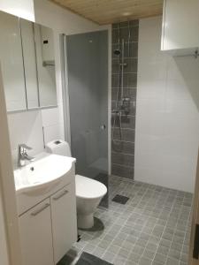 a bathroom with a toilet and a sink and a shower at RovaVisit Apartments Siljo in Rovaniemi