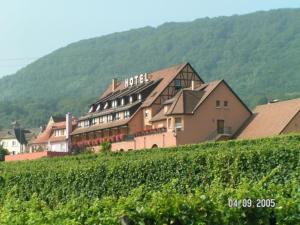 Foto de la galería de Relais Du Vignoble en Gueberschwihr