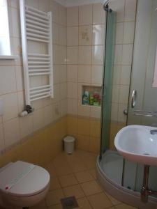 a bathroom with a shower and a toilet and a sink at Sončne Terase in Piran