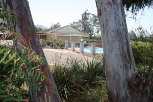a house with a swimming pool in a yard at Isis Motel Scone in Scone