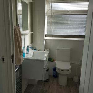 a bathroom with a toilet and a sink and a window at Quiet house beside Stansted Airport in Bishops Stortford