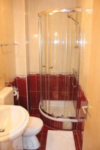 een badkamer met een douche, een toilet en een wastafel bij Dems in Živogošće