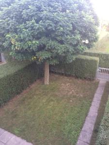 Zahrada ubytování Familien Chalet mit direktem Bademantelgang zur Therme
