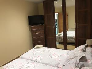 ラス・ナバス・デル・マルケスにあるApartamento La Palomaのベッドルーム(ベッド1台、テレビ、鏡付)