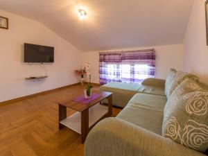 Televízia a/alebo spoločenská miestnosť v ubytovaní Apartments SOBOL
