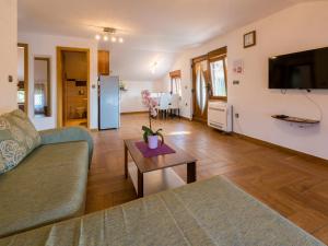 Televízia a/alebo spoločenská miestnosť v ubytovaní Apartments SOBOL