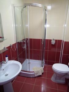 a bathroom with a shower and a toilet and a sink at La Gabi in Azuga