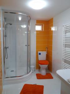 Et badeværelse på Vila Viitorul + 10 billeder