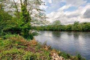 Un río con un árbol a un lado. en Glasdair, en Inverness