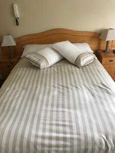 un letto con due cuscini sopra di Derreen Tighue House a Tralee