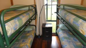 two bunk beds in a room with a window at Hawke Brook Chalets in Pemberton