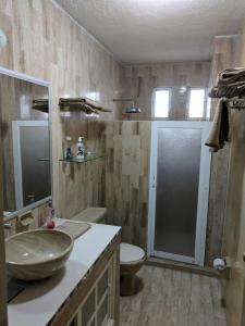 a bathroom with a sink and a toilet and a shower at Condominio Ibis Mazatlán in Mazatlán