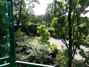 Zahrada ubytování Solitaire Hotel