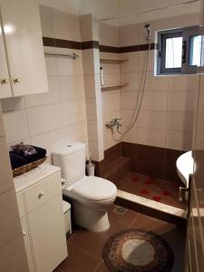 une salle de bain avec toilettes et douche dans l'établissement Sunny holiday home, à Kalamata 23 autres photos