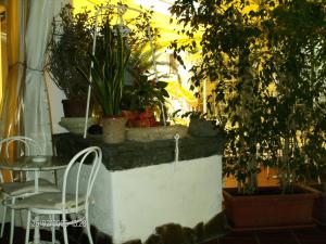 Zahrada ubytování Hotel Villa Augustus