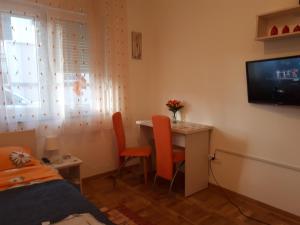 TV a/nebo společenská místnost v ubytování Apartman Ana