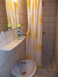 Kúpeľňa v ubytovaní Siesta Vendégház