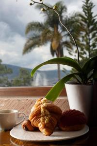 a plate of croissants and a cup of coffee and a plant at Maja Hotel Boutique in Morelia