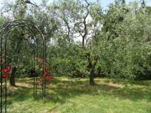 A garden outside Podere San Pierino